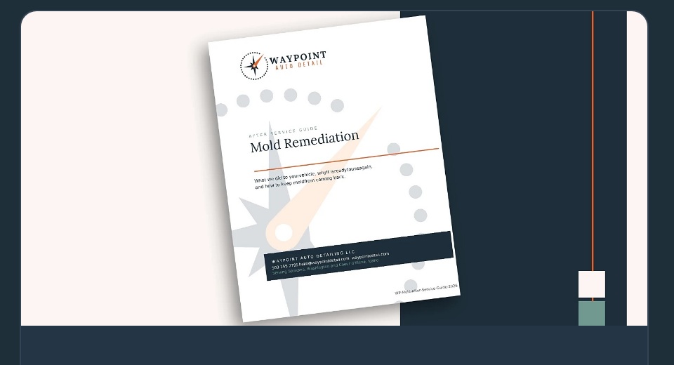 A mockup of a printed document cover titled 'After Service Guide: Mold Remediation' with the Waypoint Auto Detail logo, displayed at an angle against a dark navy and blush pink background.