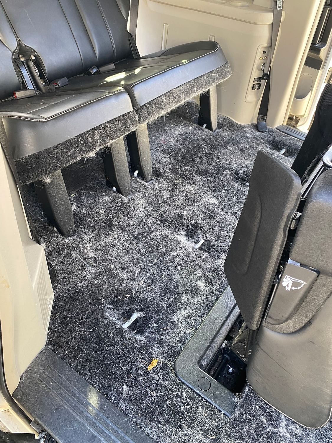 Interior floorboard of a minivan’s third-row area covered heavily in embedded pet hair, with black leather bench seats folded up and visible carpet fibers matted with fur.