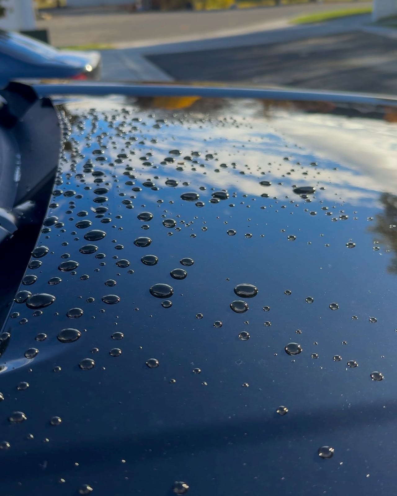 Water beading on ceramic coated hood