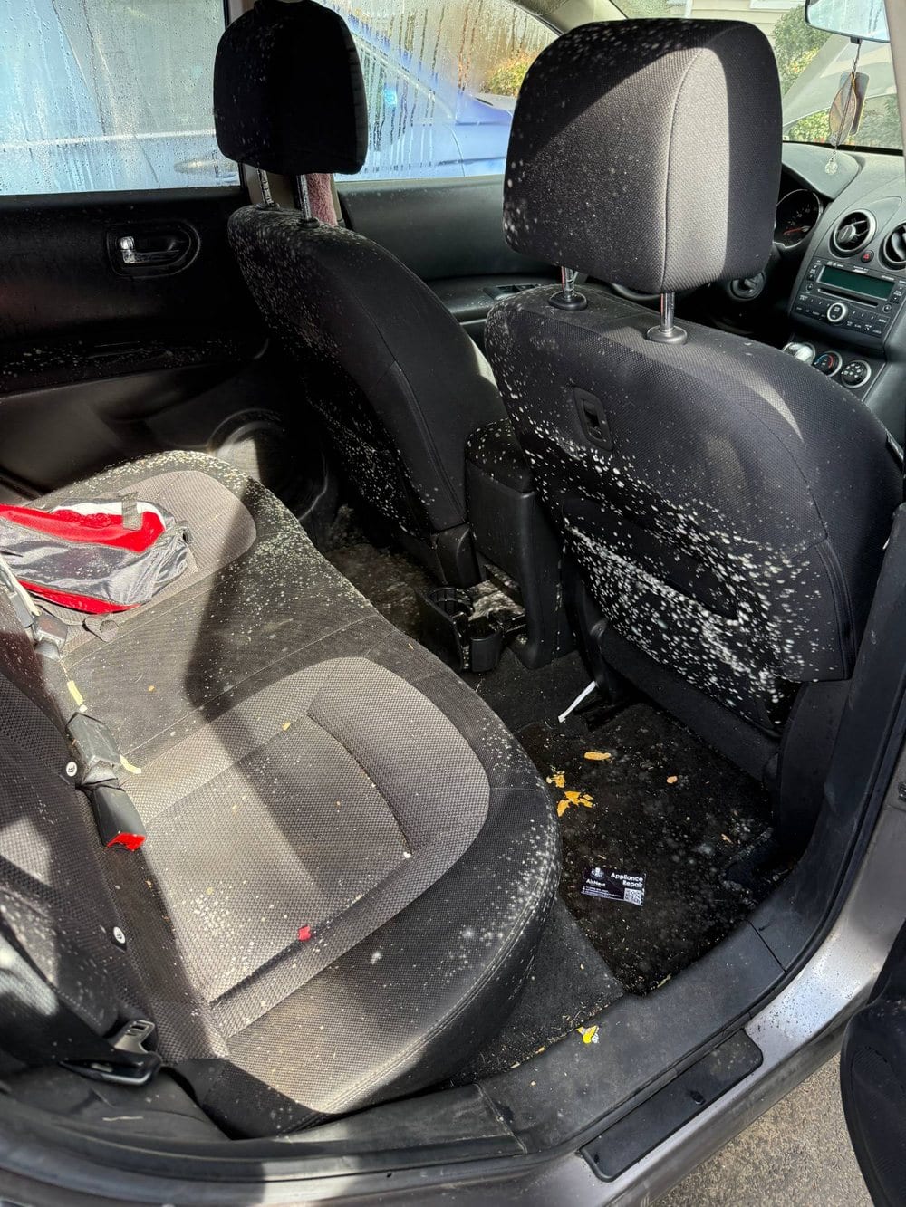 Interior of a car showing the back of front seats and rear seating area heavily speckled with white mold/mildew spots, with debris on the floor mats.