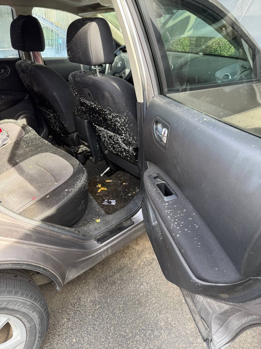 Mold-contaminated vehicle interior before remediation